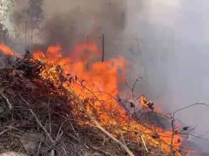 Quảng Trị: Liên tiếp xảy ra hai vụ cháy rừng